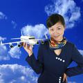 Letalsko japonsko podjetje je plačalo 160 evrov, da na internetni dražbi uniform