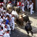 Tek pred biki, Pamplona