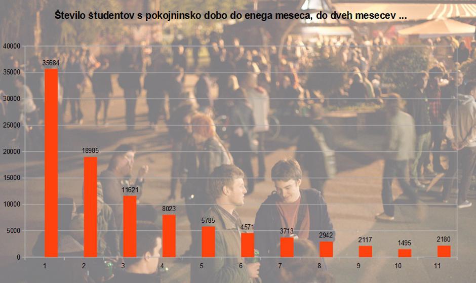 Študentsko delo  | Avtor: Zpiz/Zurnal24 