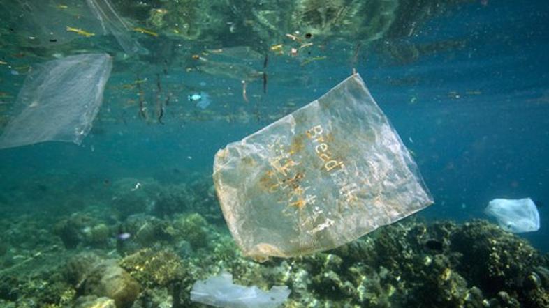 Plastična vrečka v ocenau