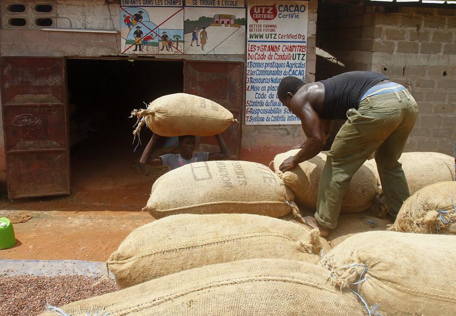 Kakavovec | Avtor: EPA