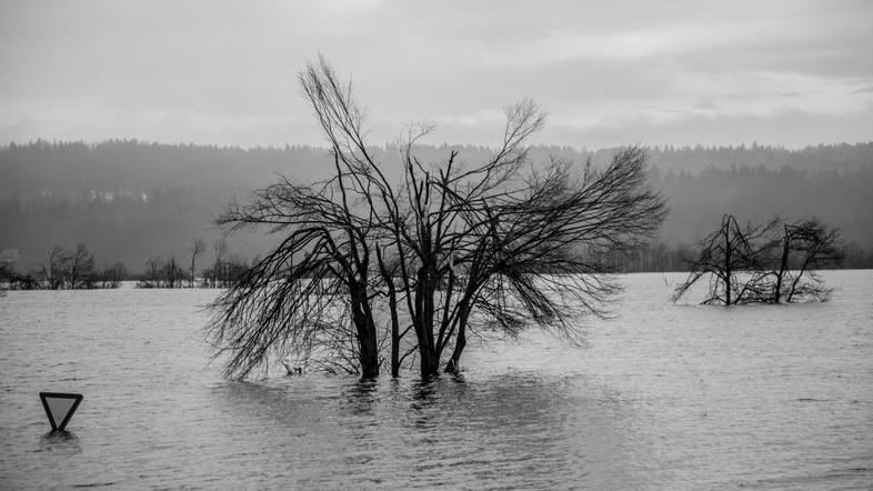 Poplave Planina 