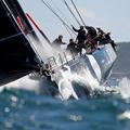 Perpetual Loyal regata Sydney Hobart
