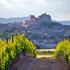 Chateau de Puissalicon, Languedoc, Francija