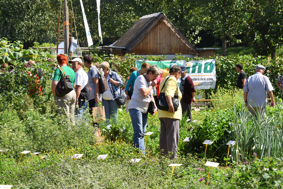 AGRA | Avtor: Osrednji sejemski vrt Biotehniške šole Rakičan