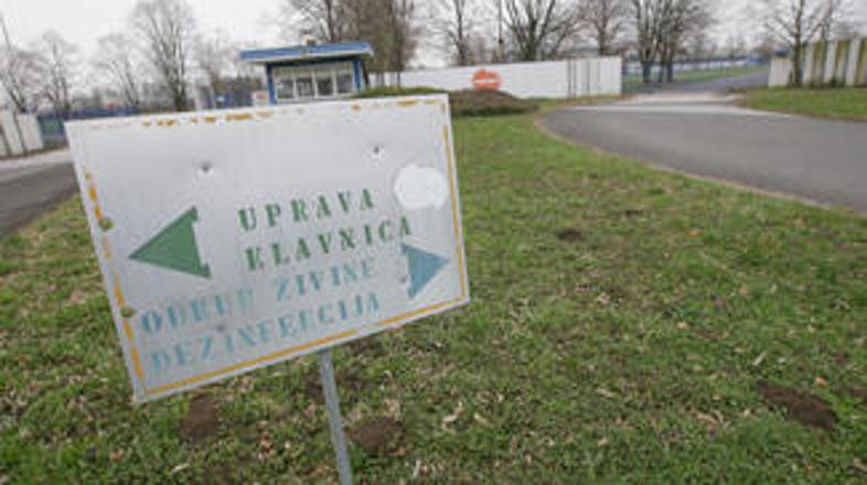 Pomurka je dočakala turobno usodo.