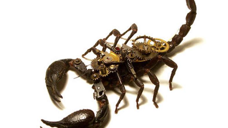 Mnogi menijo, da je Mike Libby precej nenavaden umetnik.