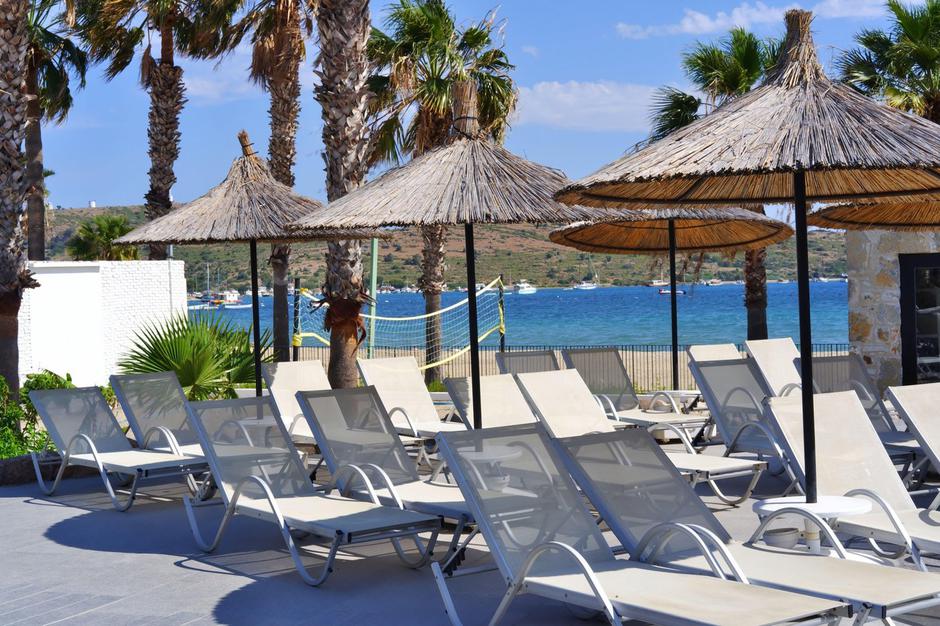 ležalniki morje poletje dopust | Avtor: Profimedia