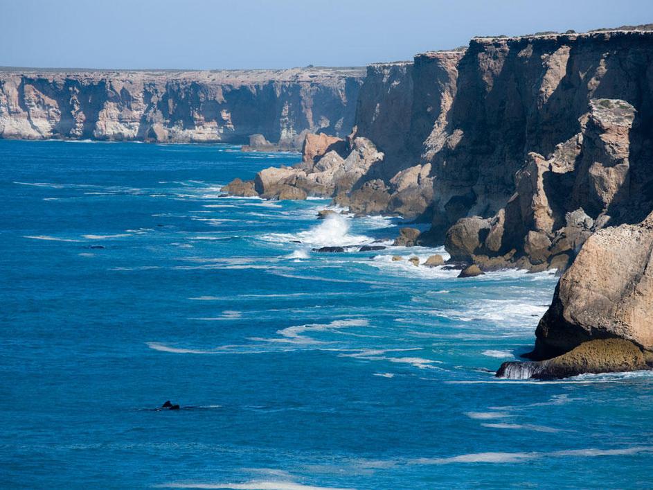 Bunda Cliffs, Avstralija