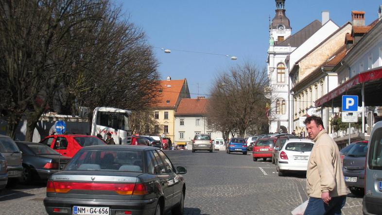 Na novomeški geodetski upravi je do zdaj podatke v zvezi z nepremičninami urejal