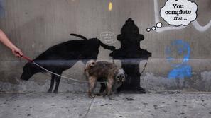 razno 03.10.13. A dog urinates on a new work by British graffiti artist Banksy o