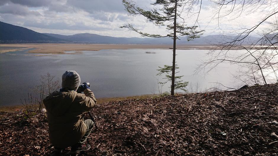 Cerkniško jezero - tu bodo bodoče opazovalnice | Avtor: Miha Jernejčič