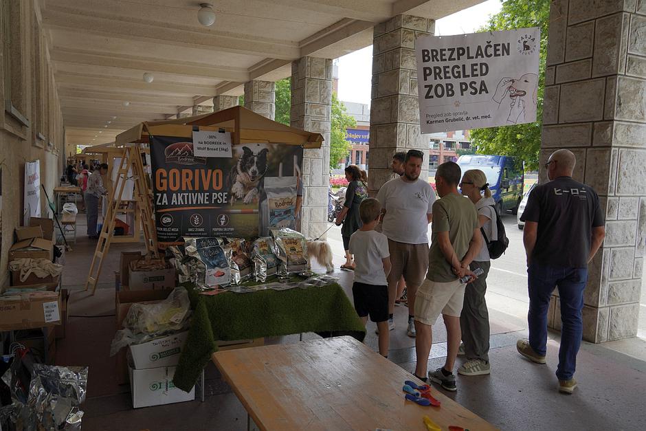 festival živali 2026 | Avtor: Matija_Janežič