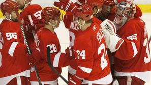 Detroit Red Wings : San Jose Sharks 3:1