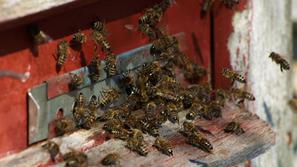 (Foto: shutterstuck)