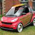 Smart fortwo woodie package