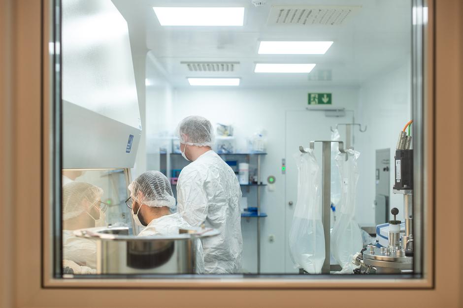 Jafral | Avtor: Anže Petkovšek