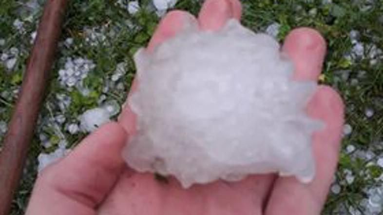 Toča v občini Črnomelj