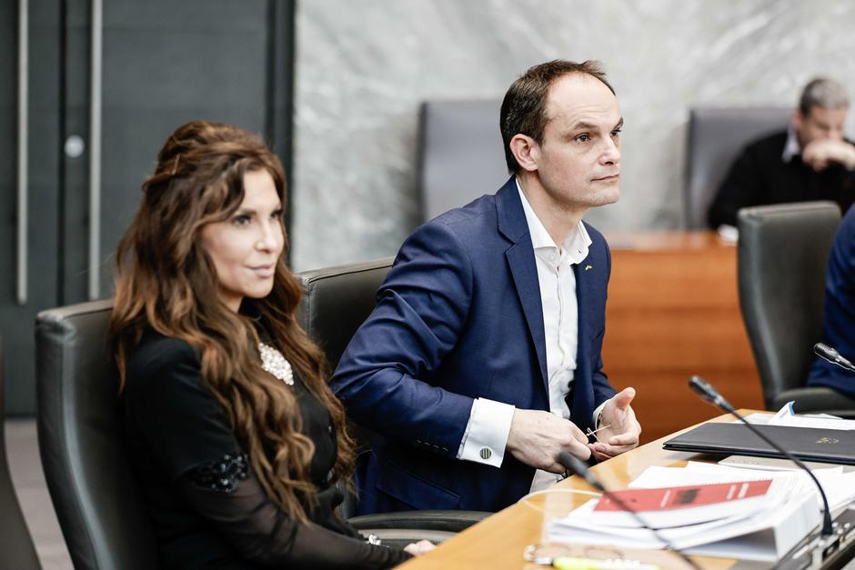 interpelacija Boštjan Poklukar, Eva Irgl, Anže Logar | Avtor: Saša Despot
