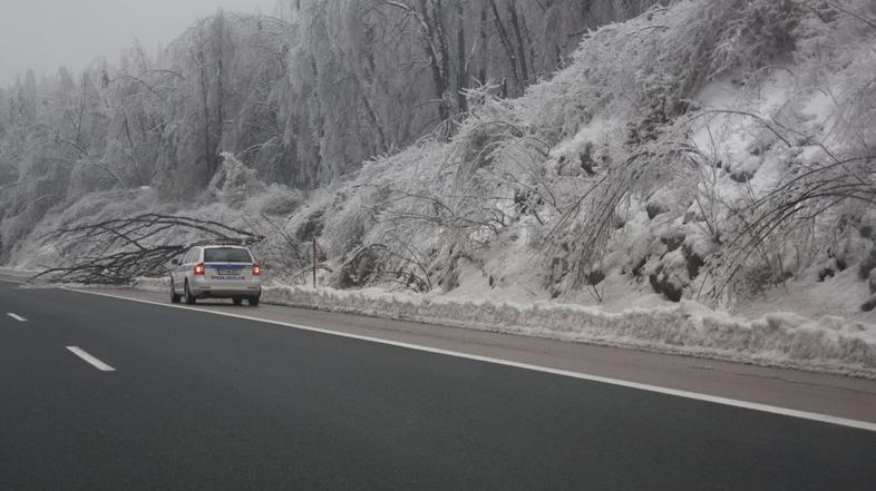 Snežna ujma v Postojni