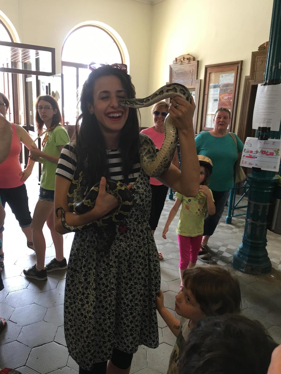 Festival za ljubitelje živali | Avtor: B. P.