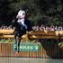 Eventing Cross Country, World Equestrian Games in Lexington, Kentucky