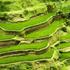 Bali, Indonezija