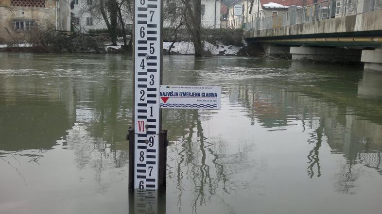 Ljubljanica Verd