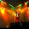 Peatbog  Faeries