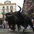 tek pred biki, Pamplona