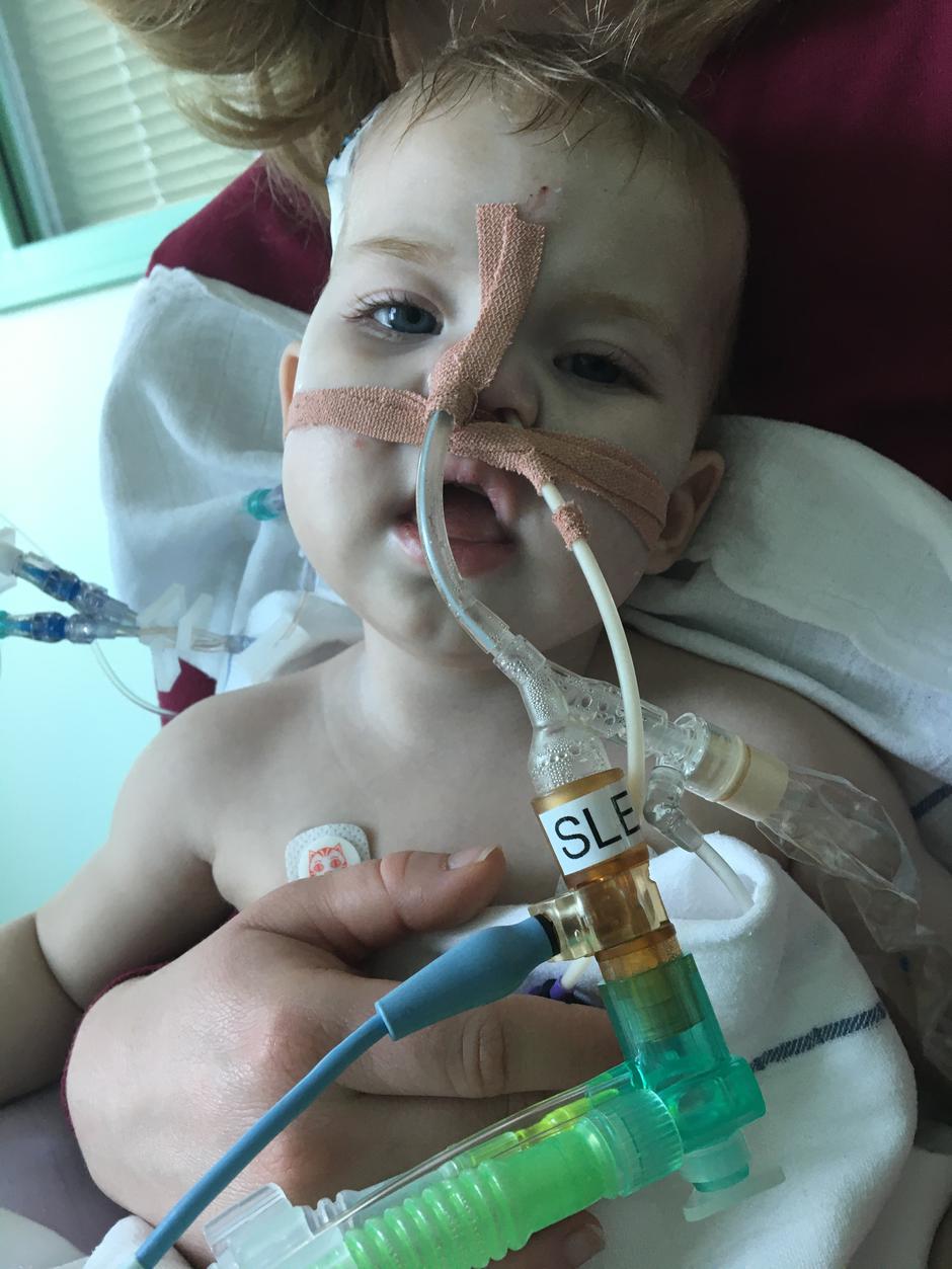 Gaja | Avtor: Društvo Viljem Julijan