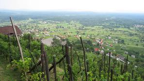 (Foto: Jerca Božič Kranjec)