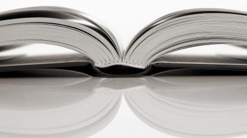 Pomagajte si tudi s pravo literaturo.