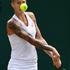 polona hercog wimbledon 2017