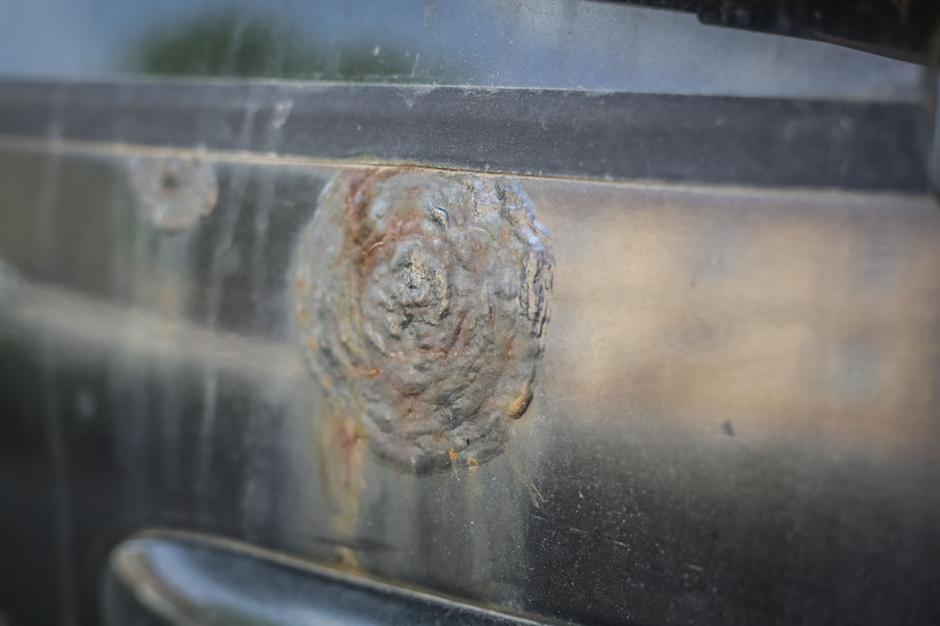 Rja na avtomobilih | Avtor: Saša Despot