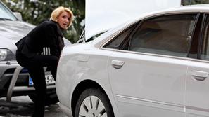 Borut Pahor, Jadranka Kosor, sre%C4%8Danje Kranjska Gora, Simona Dimic