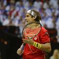 david ferrer