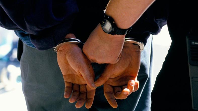 lisice pripor aretacija