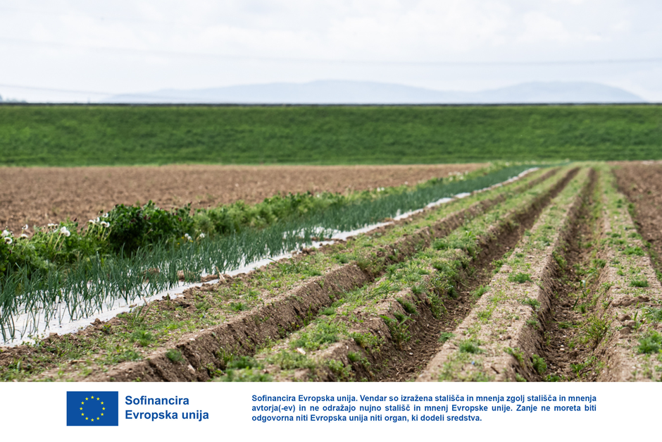 prehranska samozadostnost njiva | Avtor: Jože Glažar