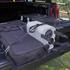 Volkswagen LGV, caddy, multivan, transporter, ID buzz, ID buzz cargo, amarok, california