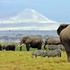 Narodni park Amboseli, Kenija