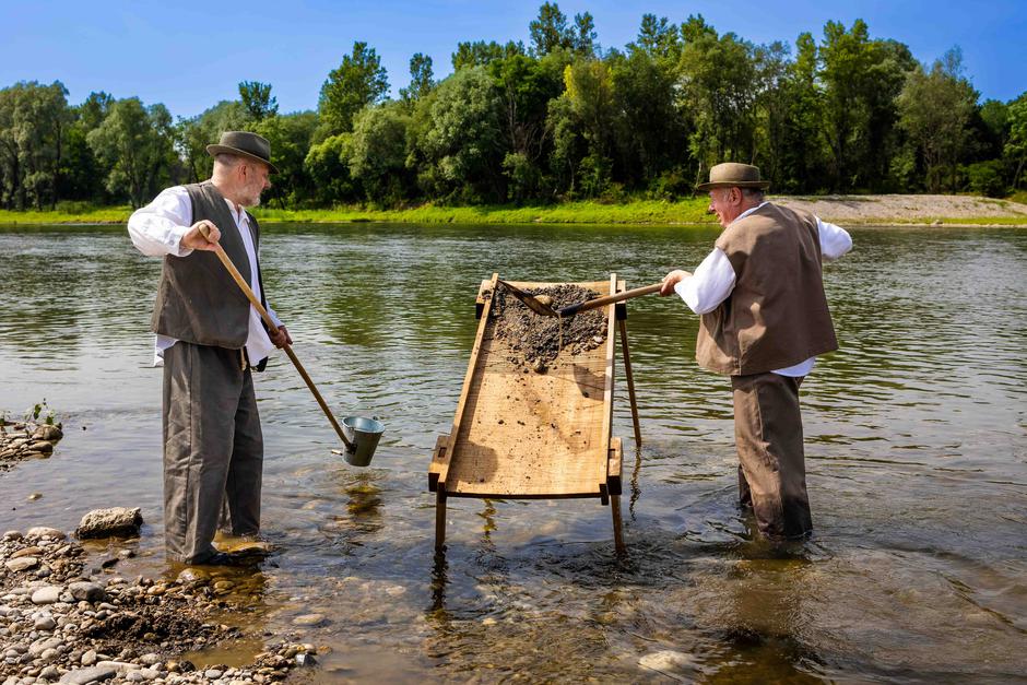 Zlata Drava | Avtor: Saša Despot