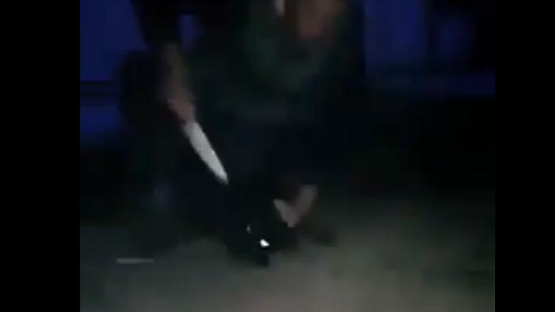 Mučenje psa v Srbiji