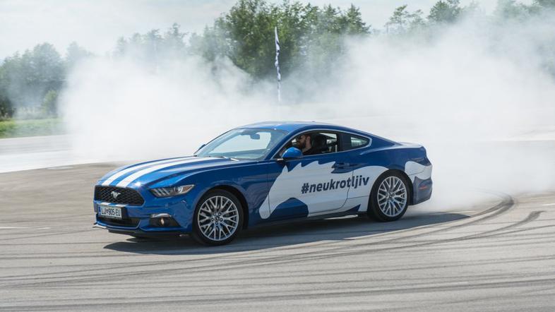 Ford Performance dan