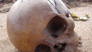 Slika je simbolična.