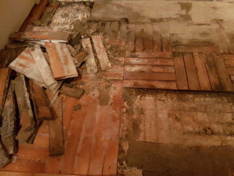 Stop Plesen | Avtor: Stop plesen