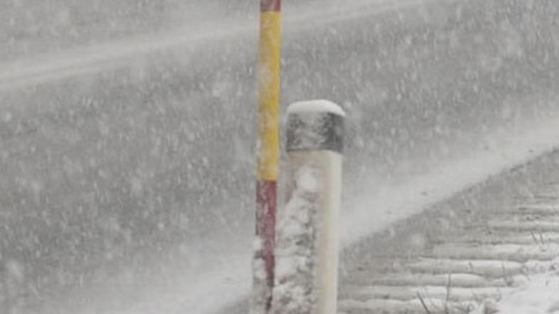 19-letnika so zmotili obcestni količki. (Foto: Bobo)