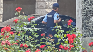 Policist, policija, Nova Gorica