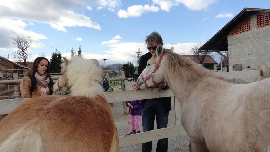 Jan Plestenjak konji center Petra Orova vas | Avtor: arhiv društva