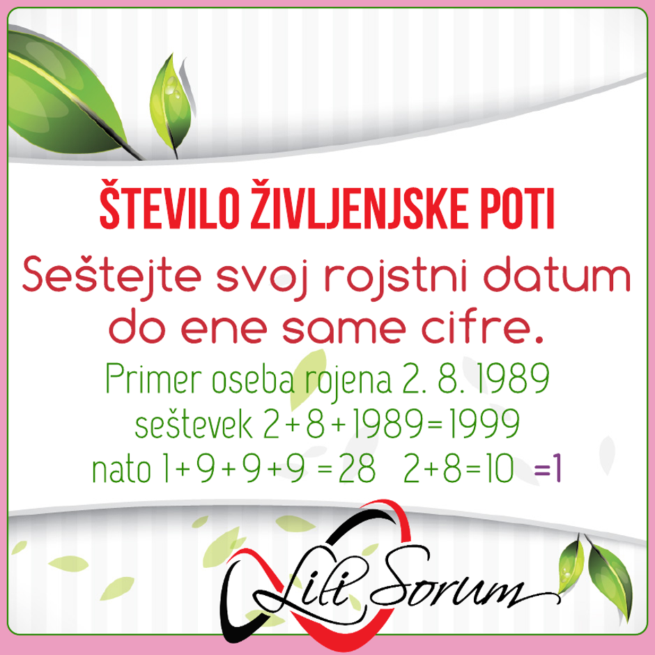 število življenjske poti | Avtor: 